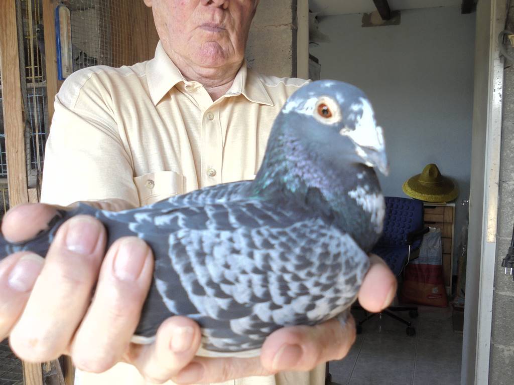 1er inter londres 12