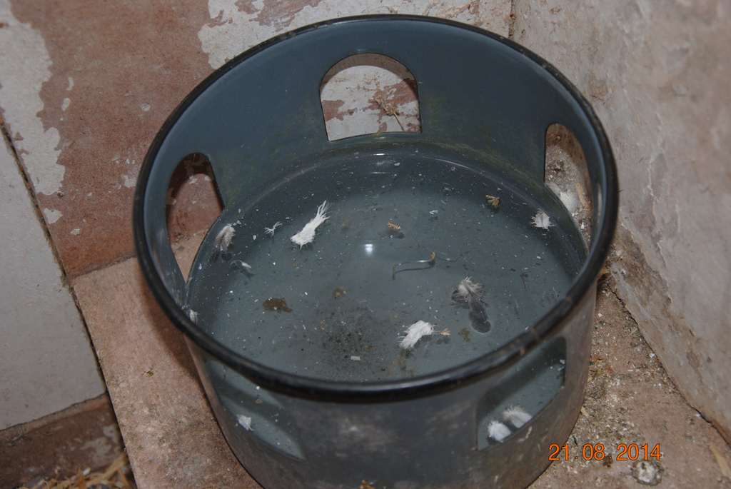 abreuvoir hors saison