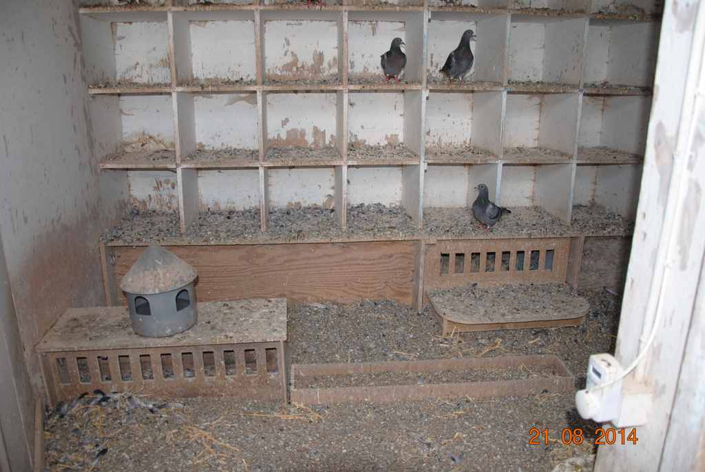 interieur compartt jeunes