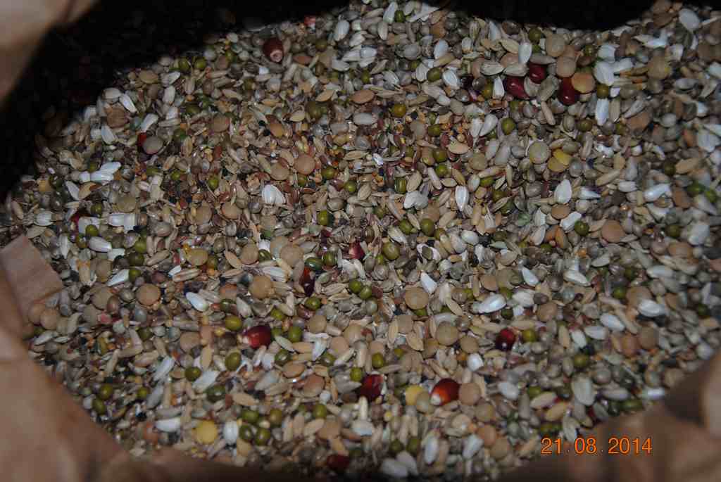 melange petites graines perso