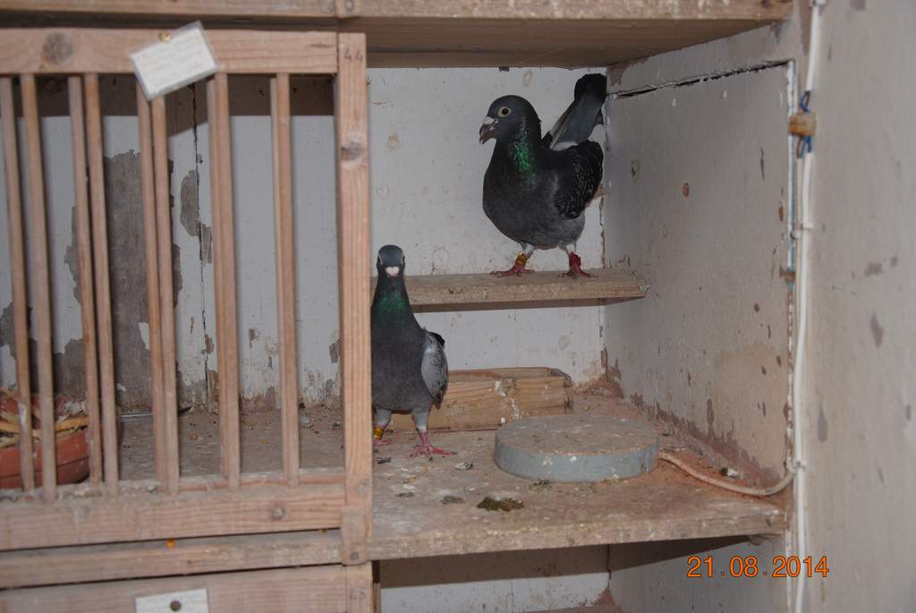 systeme de chauffage