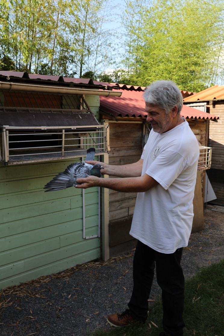 954D420DB2A44BEDB419CC60BFE748AE