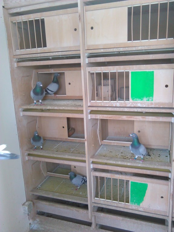 IMG 20170824 144408 1