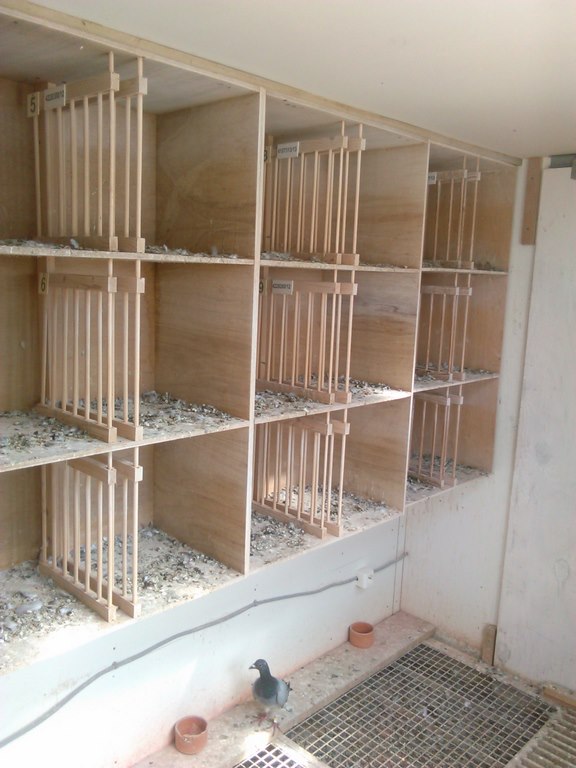 IMG 20170829 121549 1