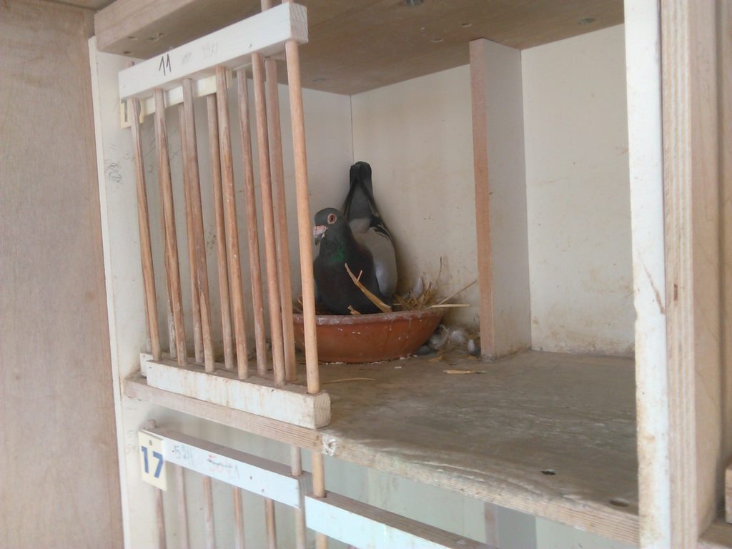 IMG 20170829 122120 1