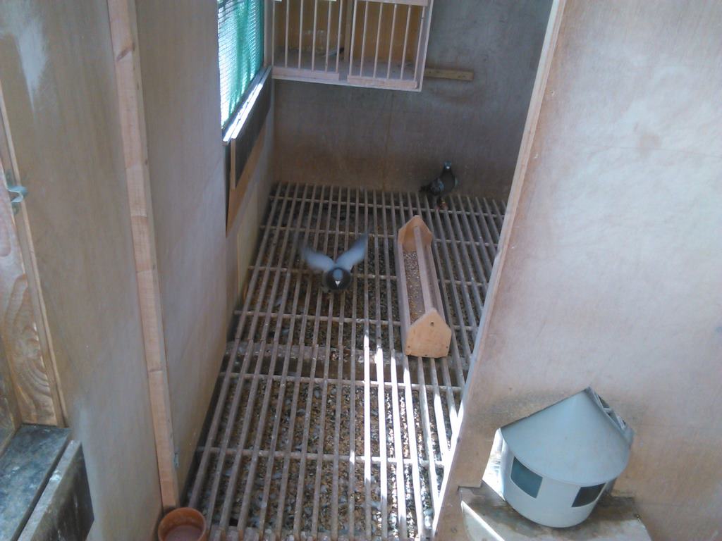 IMG 20170829 122124 1