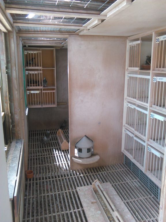 IMG 20170829 122131 1