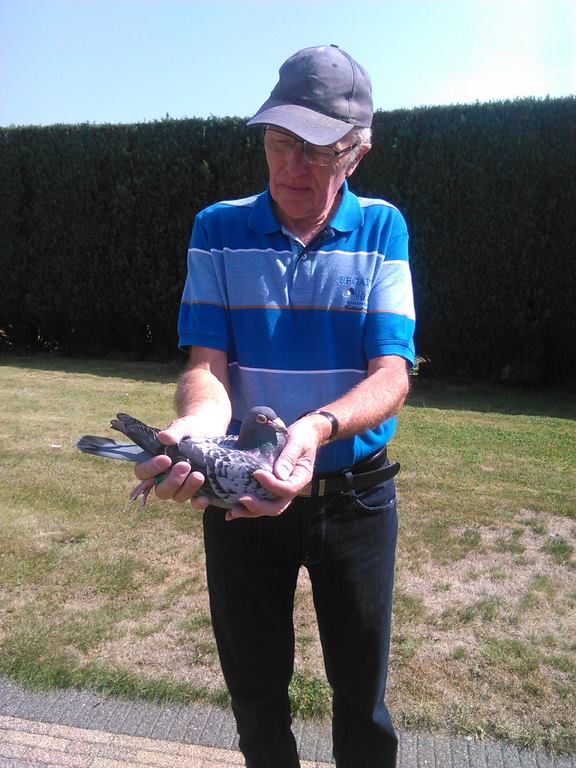 IMG 20170829 122156 1