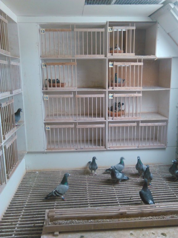 IMG 20170829 122504 1