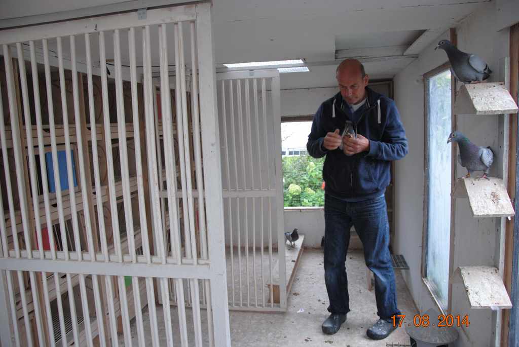 compartiment jeu au naturel