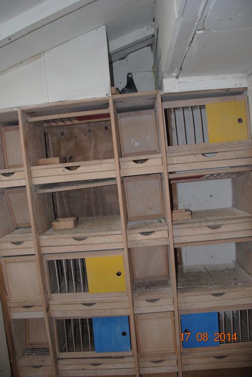 compartiment de jeu naturel