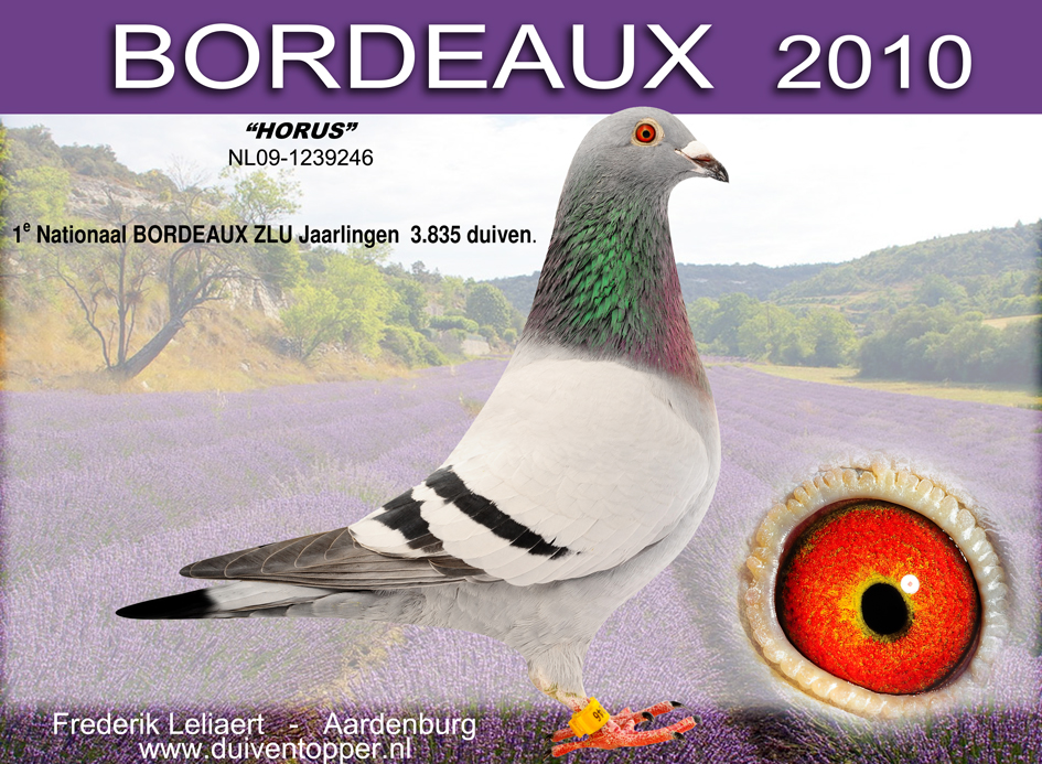 NL09 1239246I2 horus