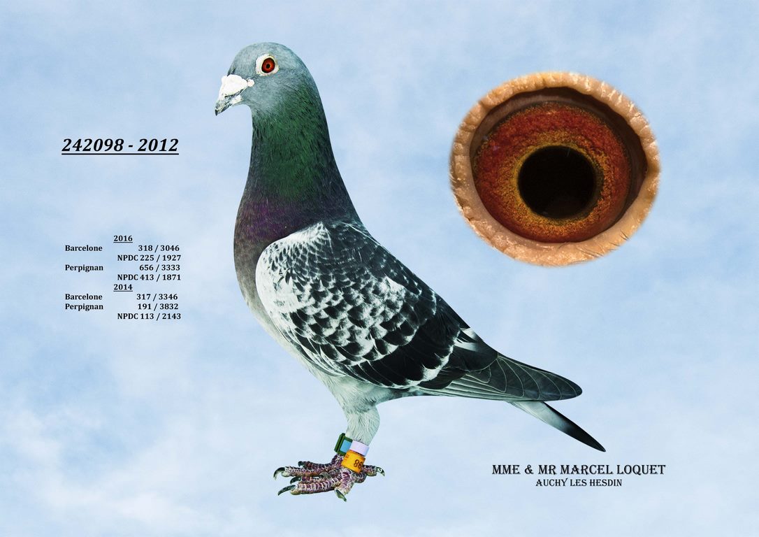 242098 Loquet Copier