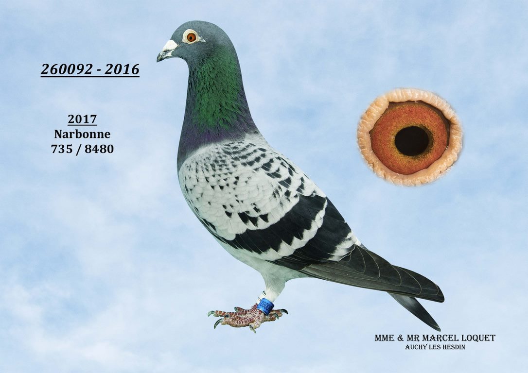 260092 loquet Copier