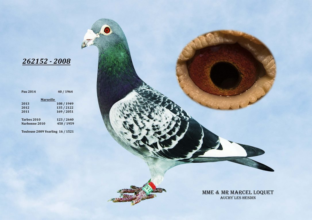 262152 Loquet Copier