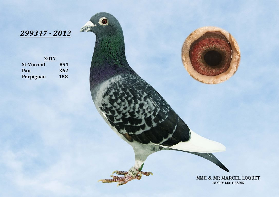 299347 loquet Copier