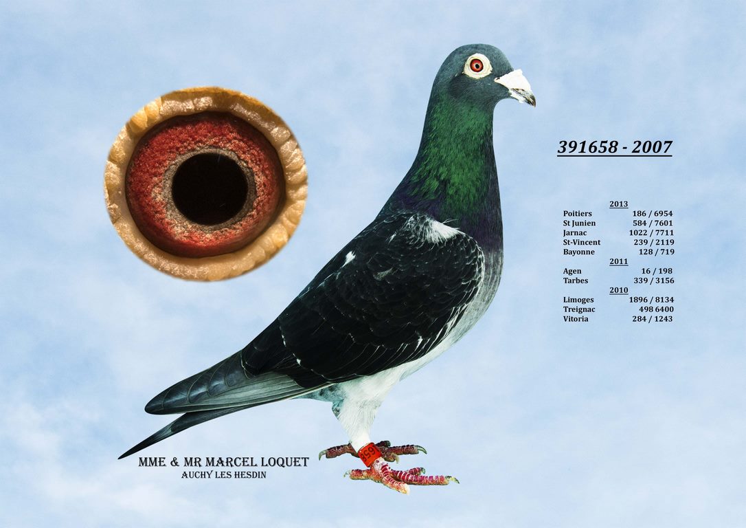 391658 loquet Copier