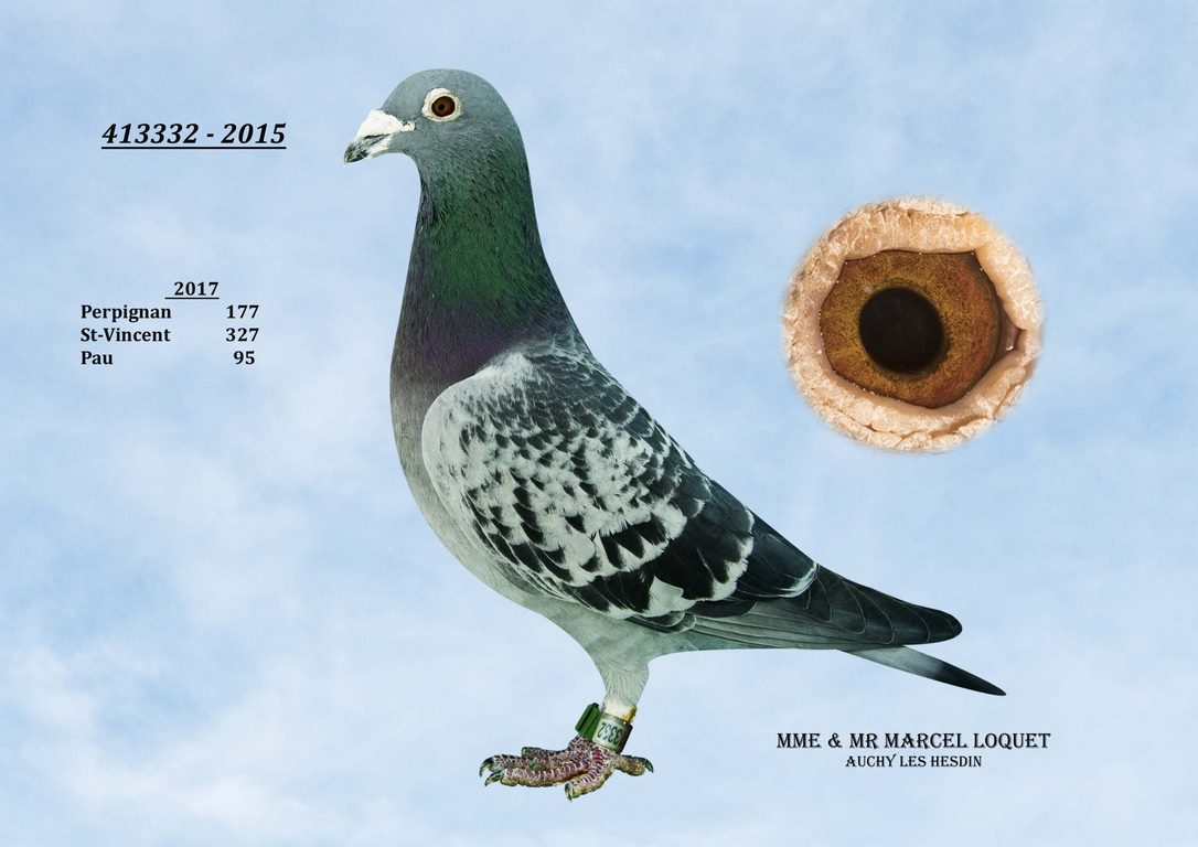 413332 loquet Copier