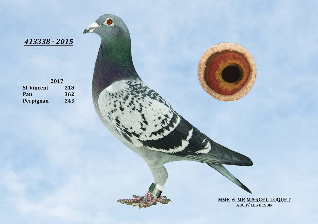 413338 loquet Copier