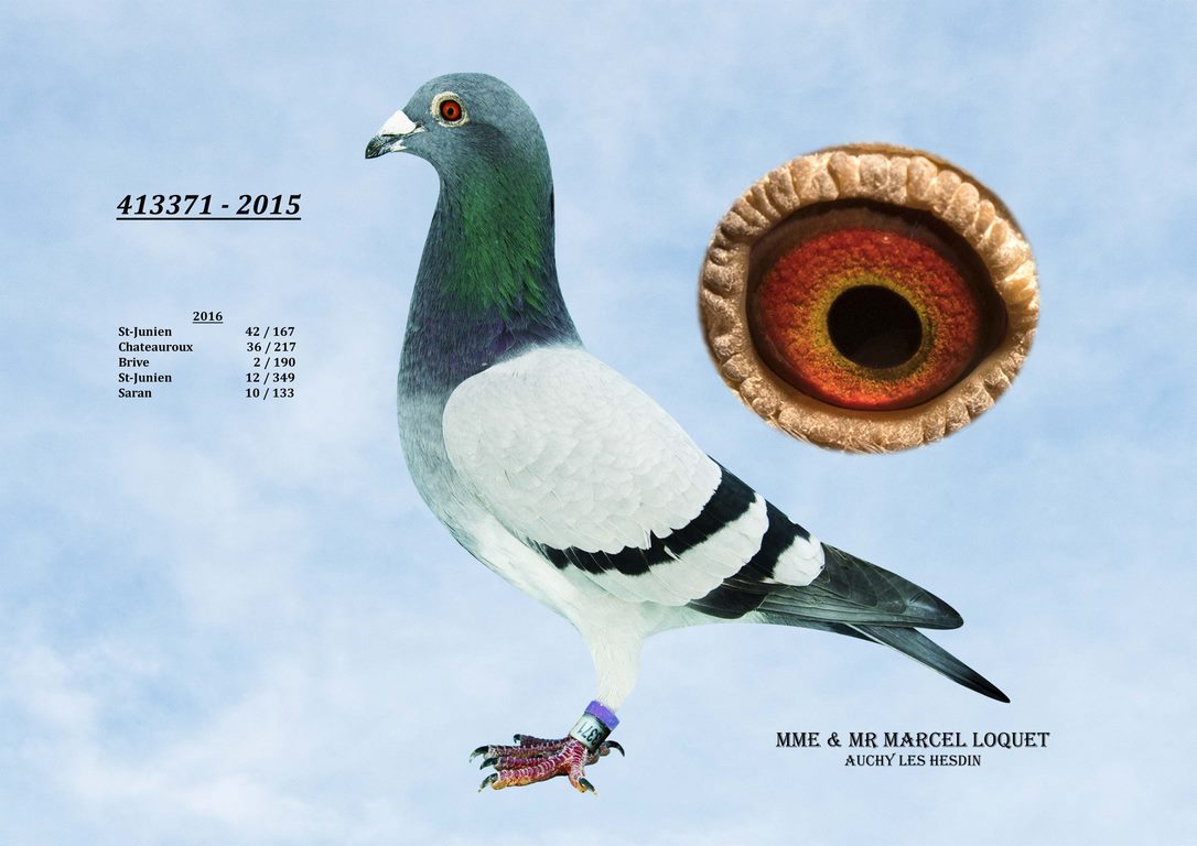 413371 Loquet Copier