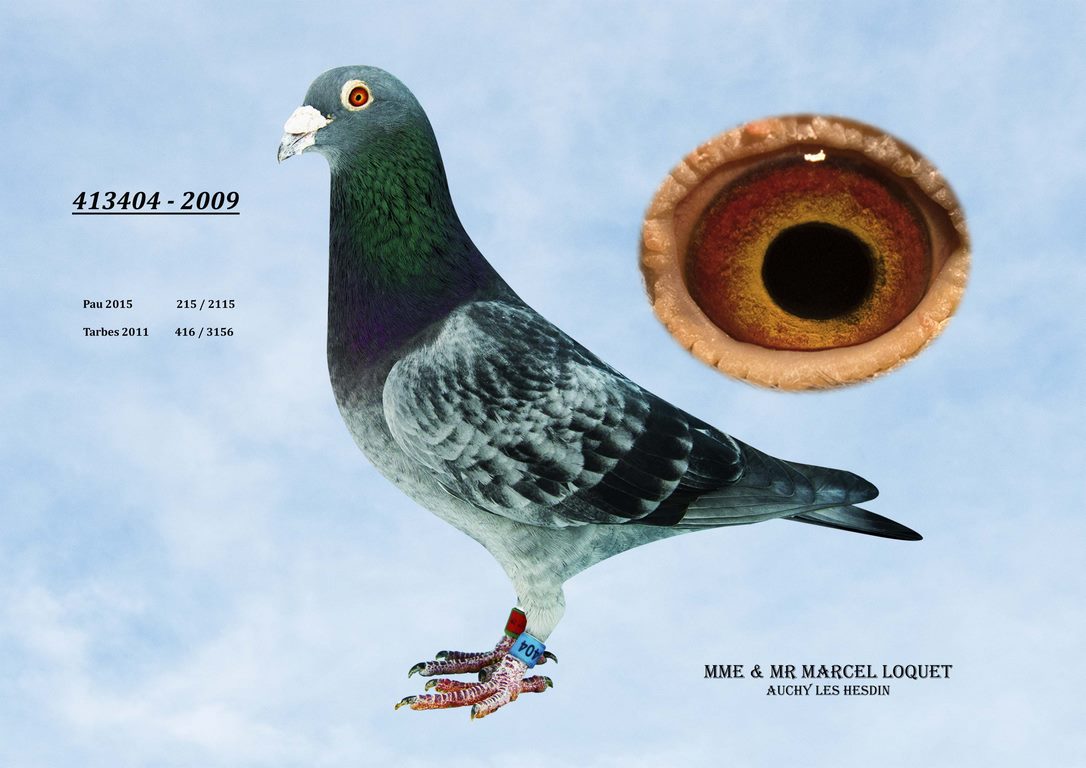 413404 loquet Copier