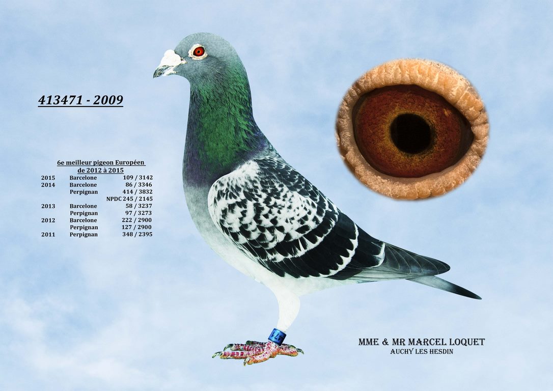 413471 Loquet Copier