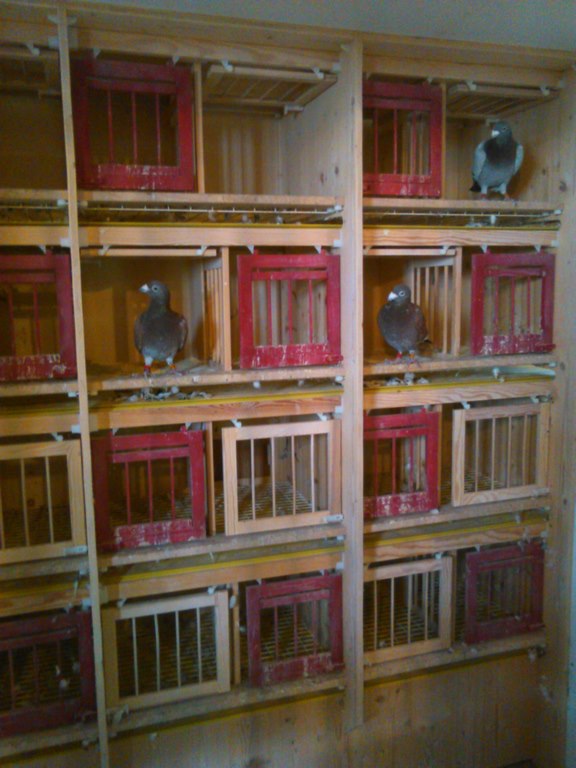 IMG 20171021 143650 1