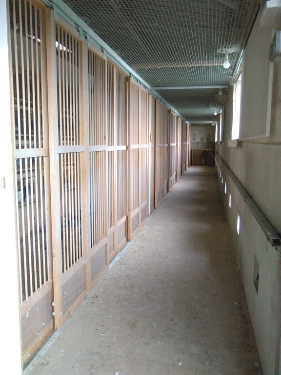 IMG 20171021 144220 1