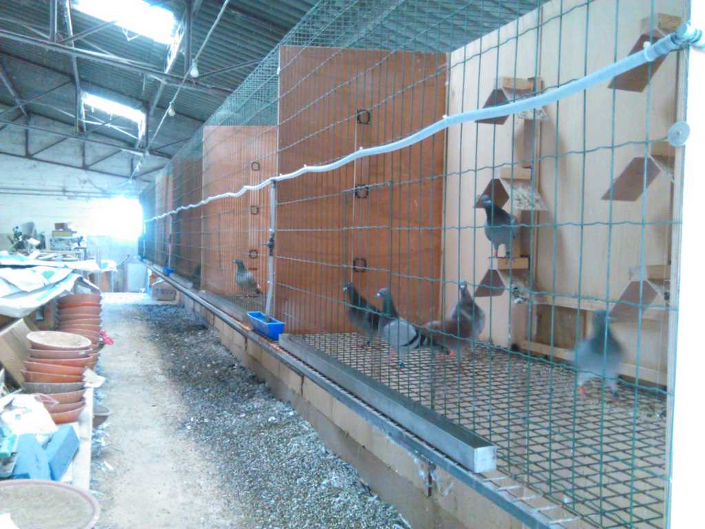 IMG 20171021 144503 1