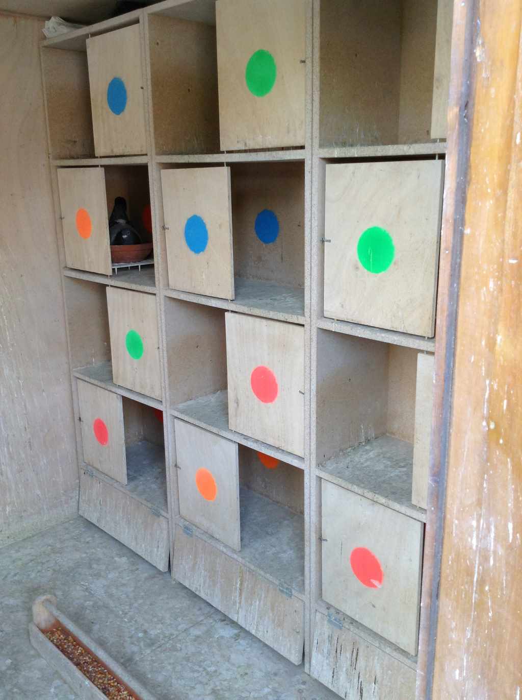 compartiments femelles 1