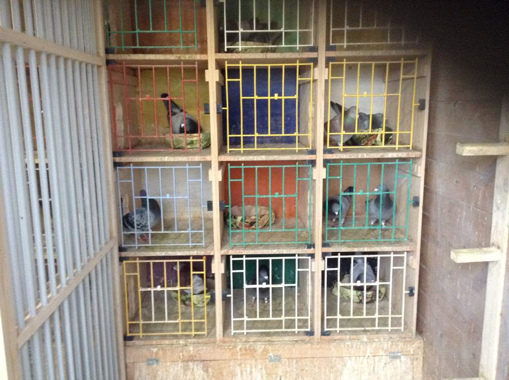 compartiments repro 1