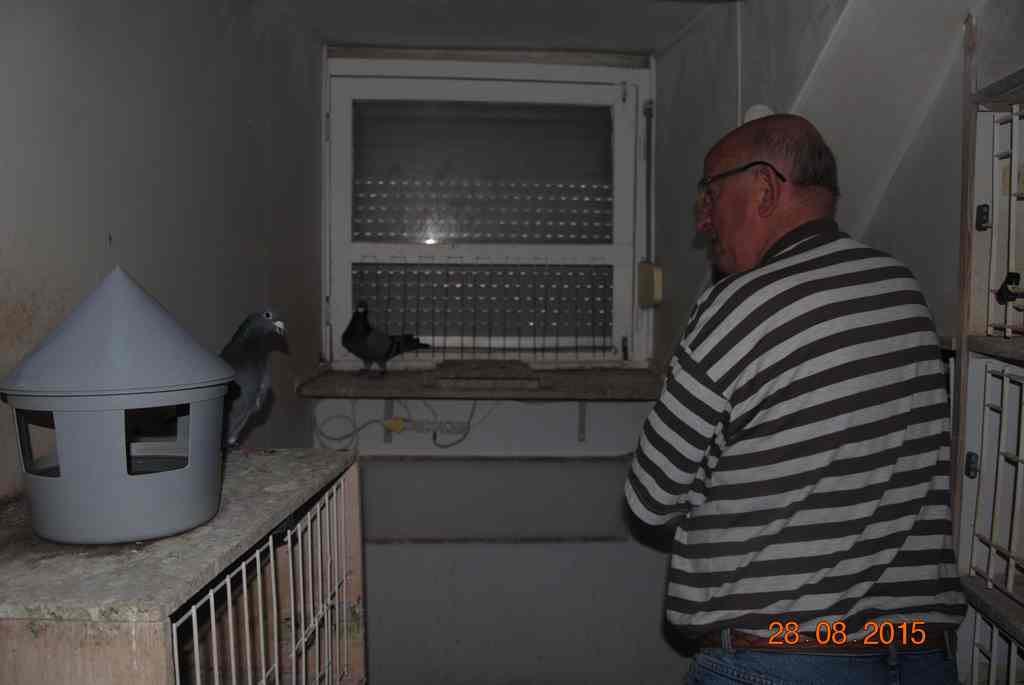 compartiment elevage