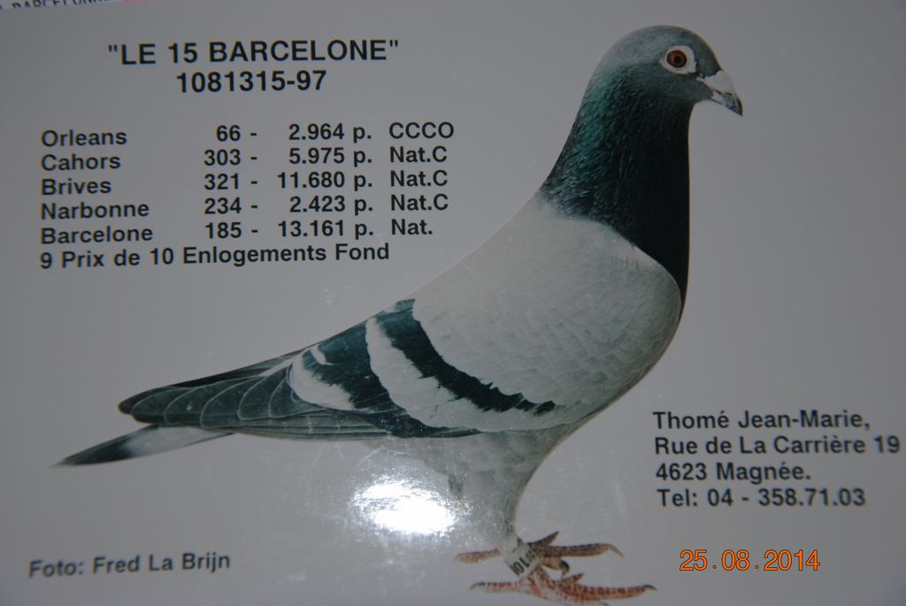 le 15 barcelone thome