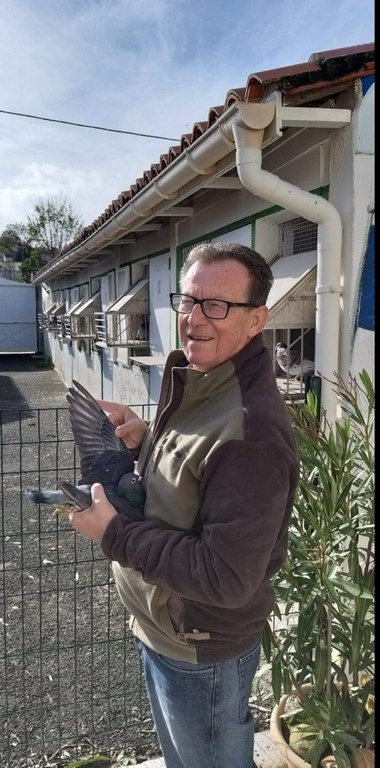 J Videau colombier Copier