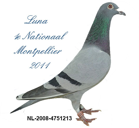 Comb.Arends Luna 1.Nat Montpellier 2011