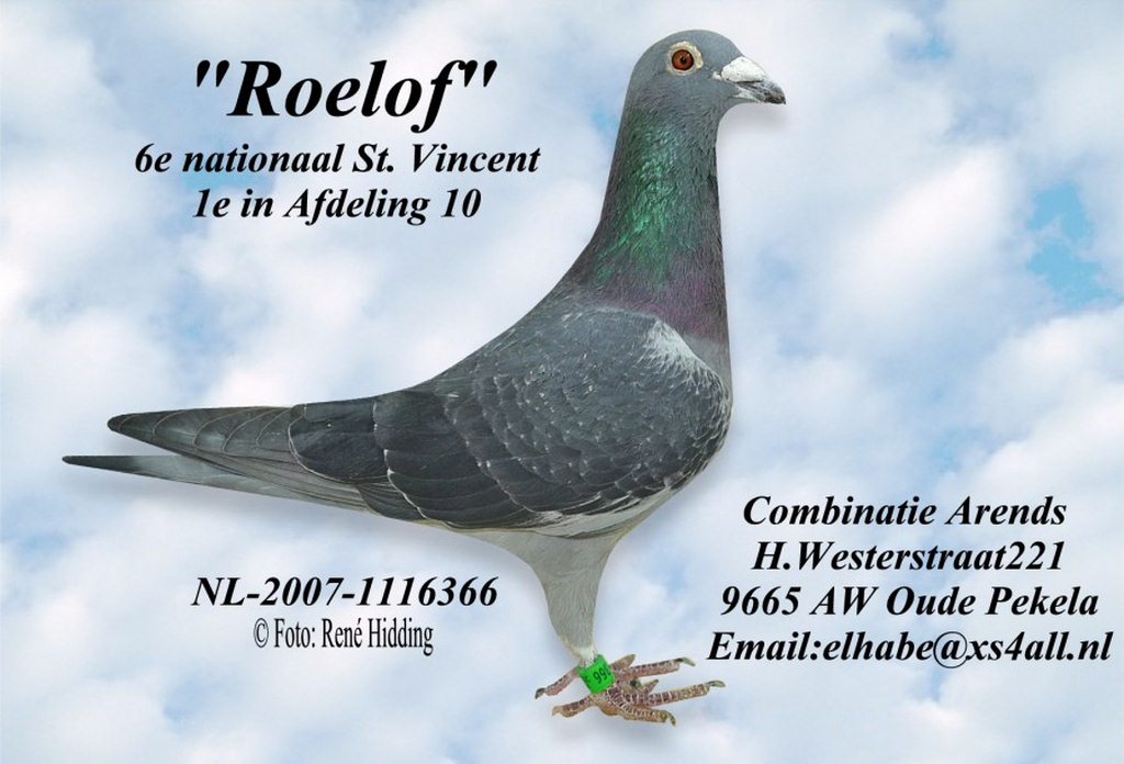 Comb.Arends Roelof 6.Nat St Vincent 2010 Copier