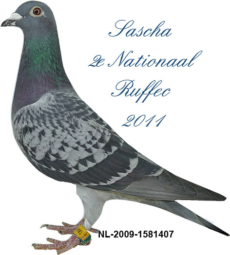 Comb.Arends Sascha 2.Nat Ruffec 2011