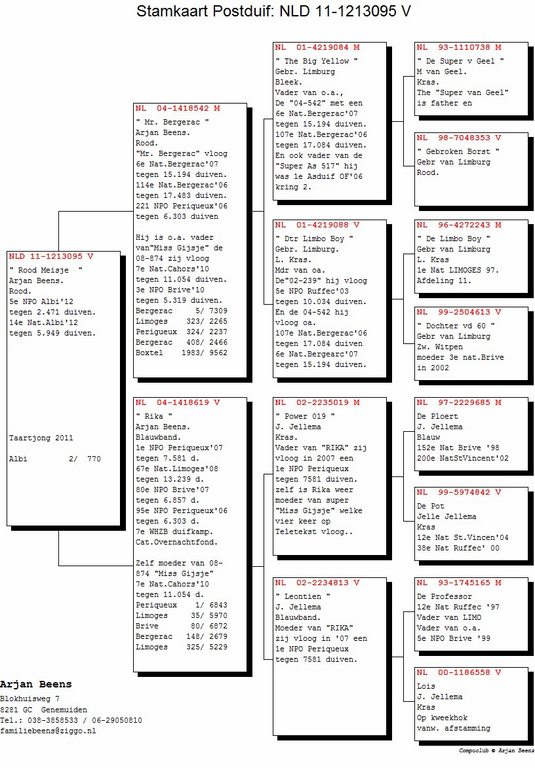 pedigree marianne Gijsje Meisje
