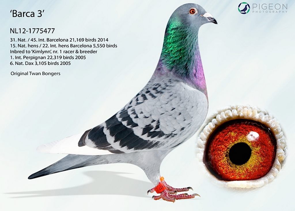 bongers 45 int barcelone 1