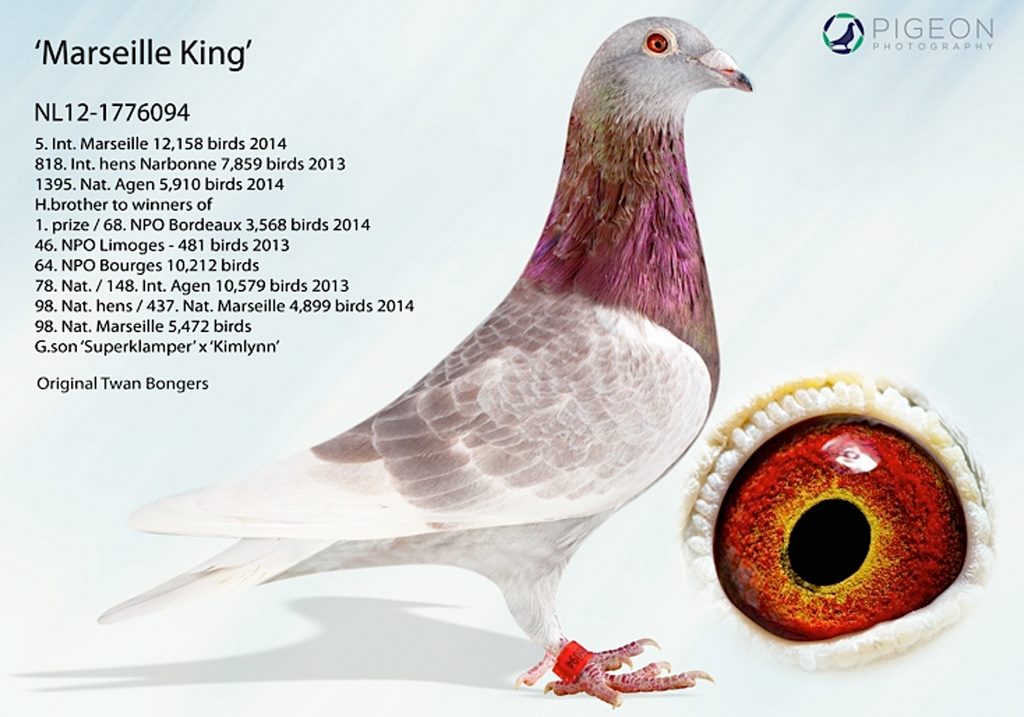 bongers 5 int marseille 1