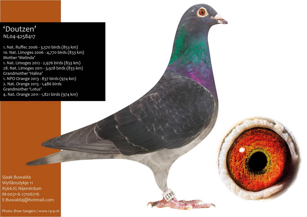 001 buwalda 1 natruffec 06