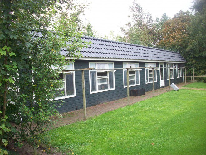 009 buwalda colombiers vieux pigeons