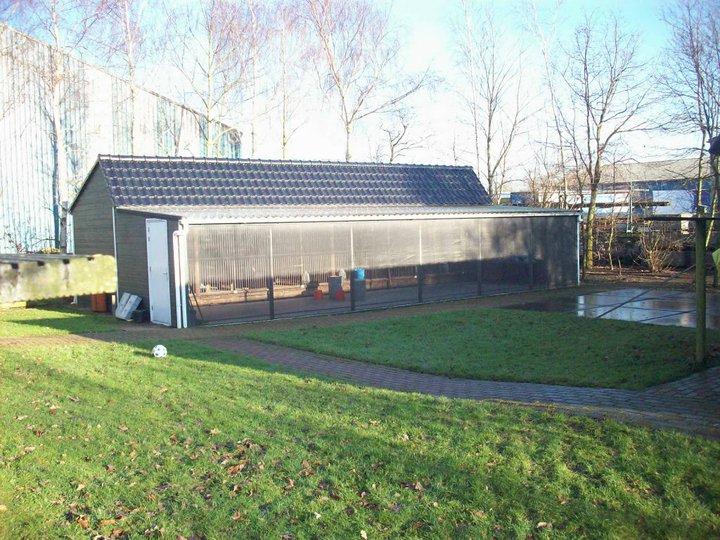 011 buwalda reproduction