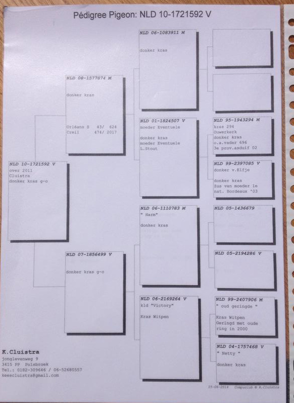Cluistra NL10-1721592-pedigree
