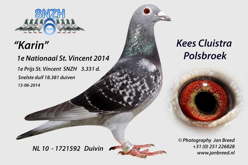 Cluistra NL10-1721592 1 nat st vincent 1