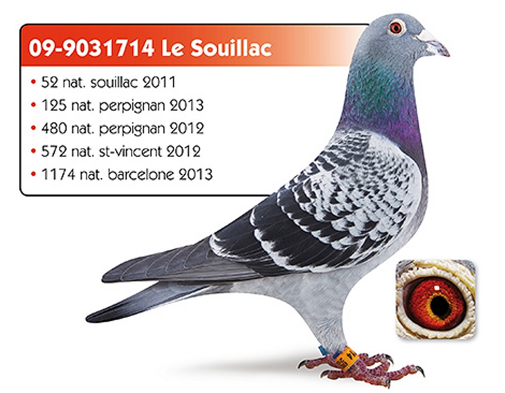 005 depasse le souillac