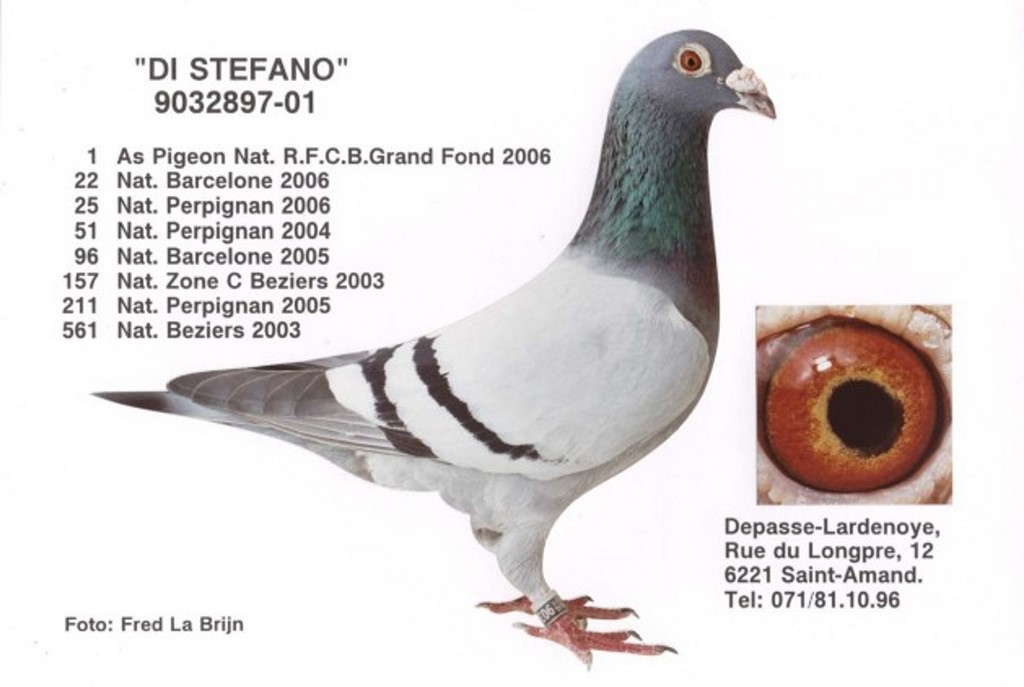 008 depasse DI STEFANO