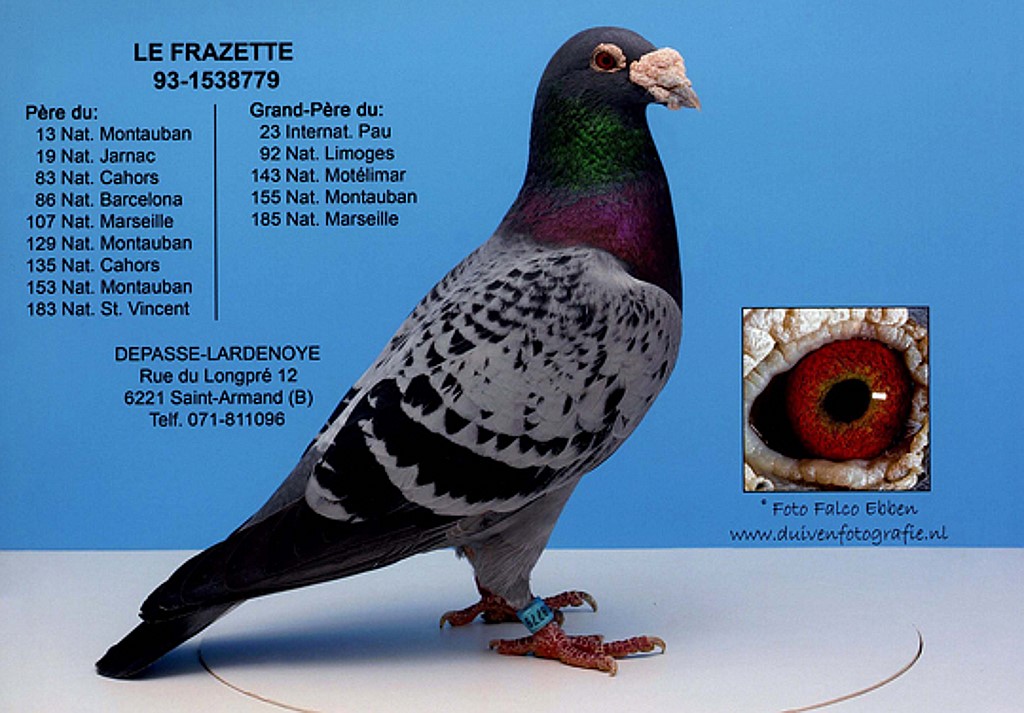 009 depasse base LE FRAZETTE