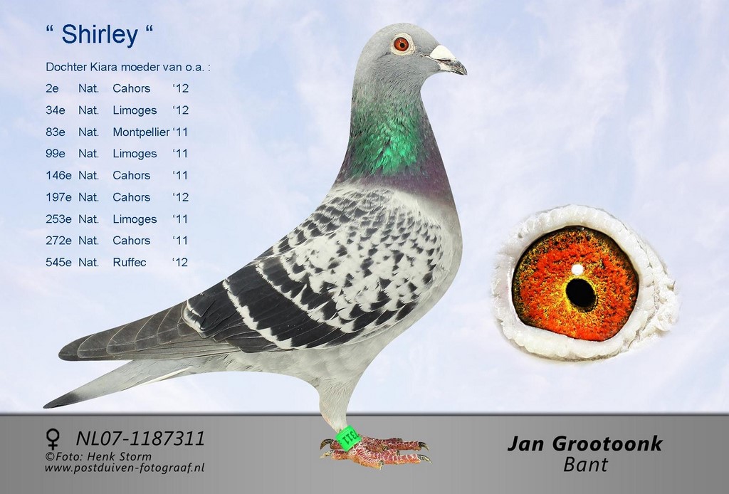 Shirley mere 1 nat limoges 2014