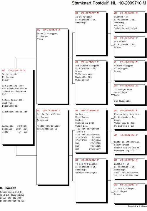 15.Nat Marseille Copier